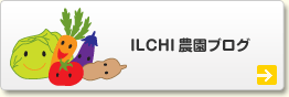 lichi農園ブログ